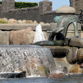DSC02411